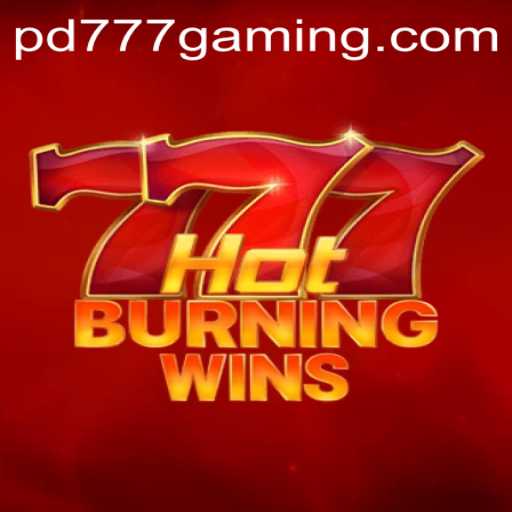 HotBurningWins Game Overview