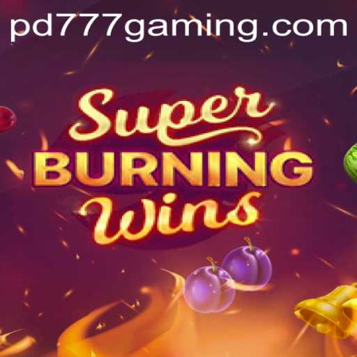 Exploring SuperBurningWins: A Thrilling Journey with PD777